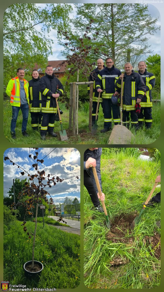 🌳 Baumpflanz-Challenge