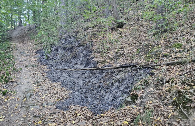 Einsatz 10/26 BRAND klein